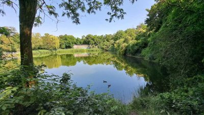 ***Heimwerkerglück mit Seeblick***
