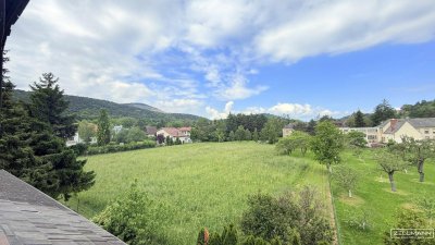 Wohnen über den Dächern von Rodaun – großzügige Dachgeschosswohnung mit Garten, Terrasse und neuer Energietechnik | ZELLMANN IMMOBILIEN