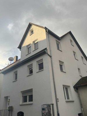 MFH - Stadtmitte Gundelsheim! (Mit Video)