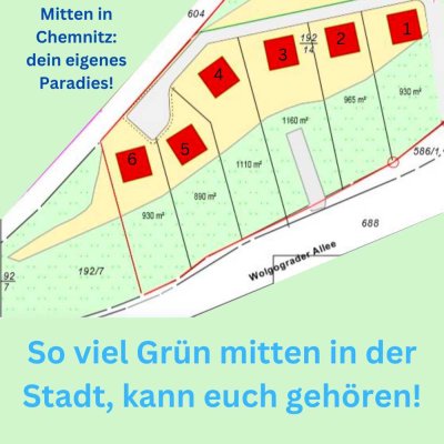 großes grünes Grundstück mitten in Chemnitz: Sahnestück!