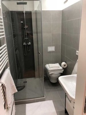 moderne 1,5- Raum Wohnung in Plagwitz/Leipzig