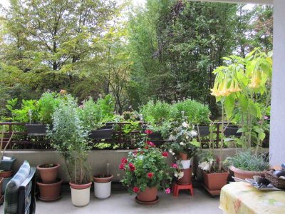 ICH BIN DEINE TERRASSE ***Riesengroß und supergrün***