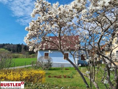 Handwerker-Traum !! Entzückendes kleines Anwesen in Kirchbach