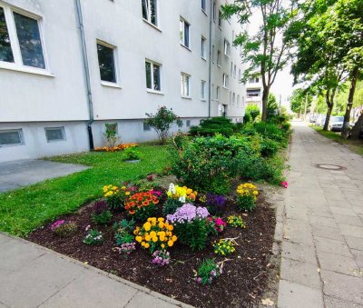 Rentner aufgepasst :) wunderschöne frisch renovierte 2,5 Zimmer