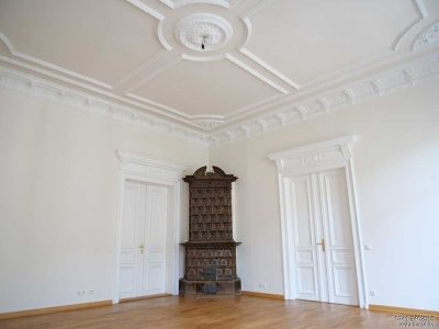 [] waldstraßenviertel [] 6-raum [] ganze gründerzeit-etage [] altbaucharme [] stellplatz []