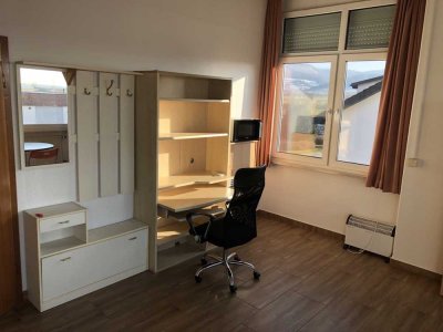 Möbliertes 1 Zimmer Appartement- neu renoviert 35qm/ Nr. 1