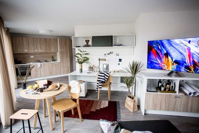 Möblierte Penthouse XL-Apartments mit Dachterrasse im "Main Atrium" auf der Hafeninsel Offenbach