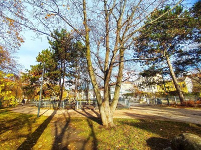 RUHIGE LAGE - Altbau Nähe Matznerpark