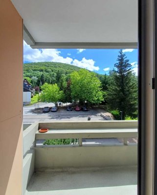 Provisionsfrei für Käufer: freies, teilmöbliertes + sonniges Südbalkon-Apartment mit Lift