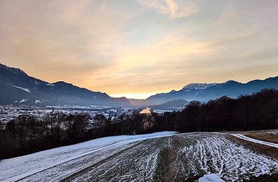 Neues Zuhause gesucht?