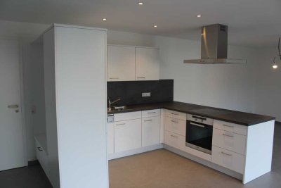 Hochwertige 2 Zi.-Einliegerwohnung in neuwertigem Zustand mit großer Terrasse