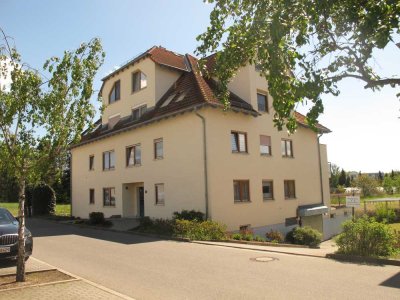 Ansprechende und vollständig renovierte 2-Zimmer-EG-Wohnung mit EBK in Weinböhla