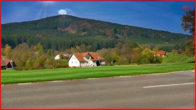 Wunderschönes Landhaus mit Nebengebäude, großem Garten und Wasserkraftwerk - Die Gelegenheit!