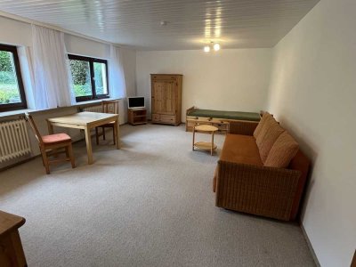 Vollmöblierte renovierte 1-Zimmer-Wohnung in Bad Vilbel auf Zeit zu vermieten