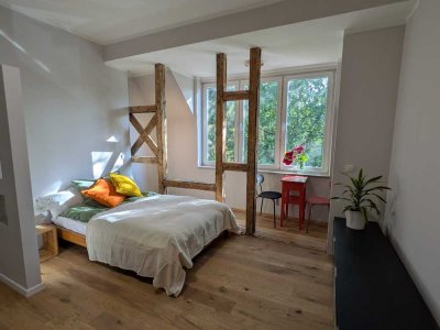 Stilvolle voll möblierte 1-Zimmer-Wohnung mit luxuriöser Innenausstattung in Hannover