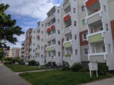 Renovierte 1-Raumwohnung im Erdgeschoss (mit Videobesichtigung)