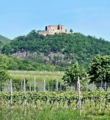 Leben inmitten der Natur , angrenzend an die Weinberge mit Blick auf das Hambacher Schloss