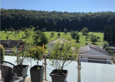 Über den Dächern von Sinsheim - Exklusives Penthouse
