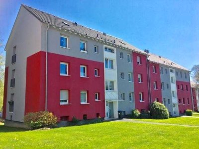 Frisch renovierte 3-Zi.-EG-Whg. mit Tageslichtbad und Balkon