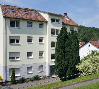 Moderne  2-Zimmer  Dachwohnung in Bad Orb