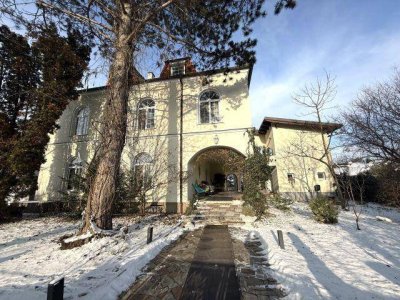 Villa mit Betriebsgebäude auf ca. 2000 m² Eigengrund in Ebreichsdorfer Toplage !