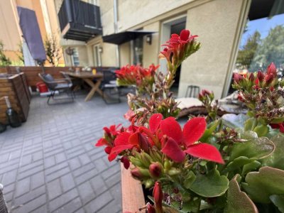 Suchen Nachmieter zum Juli! Kleines Apartment mit großer Terrasse! Bad mit Du! Separater Eingang!