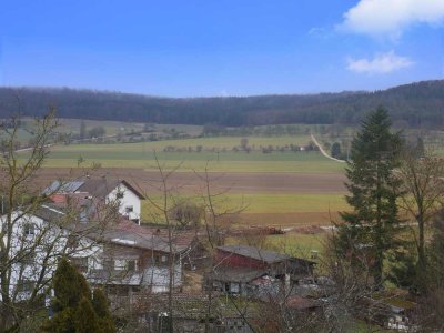 Zweifamilienhaus mit ELW und Gewerbeeinheit in Langenenslingen
