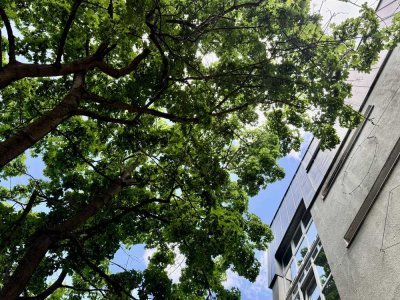 Charmante Singlewohnung mit Balkon
