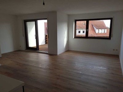 Exklusive, geräumige und vollständig renovierte 1-Zimmer-Wohnung mit Balkon und EBK in Maichingen