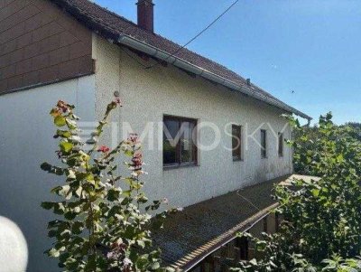 Haus braucht Hilfe - Handwerker gefragt