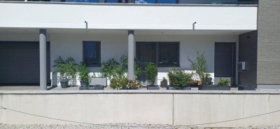 Moderne 3-Zimmer Erdgeschosswohnung mit Terrasse