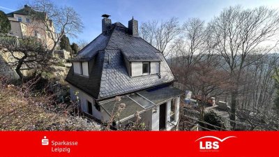 Ehemalige Weinbergterrasse - Leben pur!