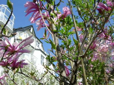 Sonnige Maisonettewohnung - auf Wunsch teilmöbliert - zu vermieten!
