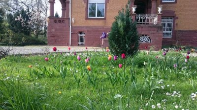 Schöne Altbauwohnung mit 5 Zimmern in Lauterbourg (France) neben Berg,  in parkähnlichem Grundstück
