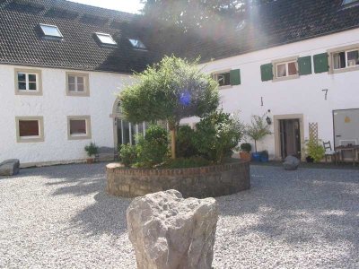 Schöne 2-Zi Wohnung in idyllischer Lage in der alten Wasserburg Haus Düssel!