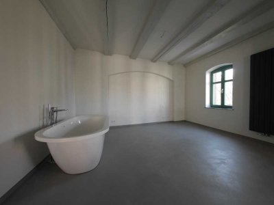Einzigartiges Loft: 60qm mit EBK zu vermieten
