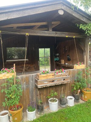 2 Zimmer Wohnung in Ebbs mit Gartenhaus nutzung und Parkplatz