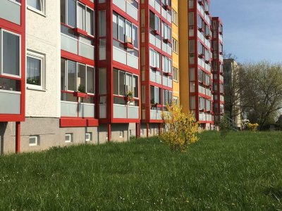 Betreutes Wohnen: Barrierefreie 1-Raum.Wohnung mit verglastem XXL-Balkon und vielen Extras
