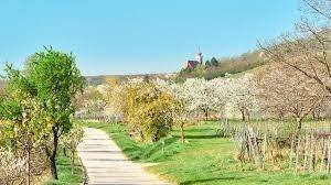 Erstbezug beim Neusiedler See
