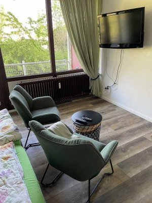 Kernsanierte 1-Zimmer-Appartement mit gehobener Innenausstattung mit EBK in Bad Bergzabern