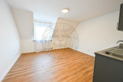Frisch renoviertes 1 Zimmer Apartment ab sofort zu vermieten in Mainz Hechtsheim