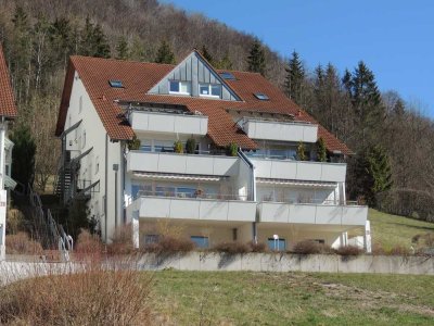 Über den Dächern von Bad Ditzenbach - mega Aussicht