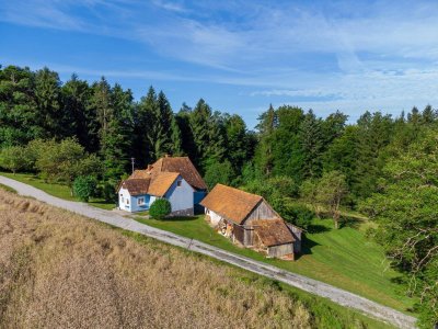 Neuer Preis: Charmante Kleinlandwirtschaft mit großem Entwicklungspotenzial – Ruhe, Natur und Nähe zu Graz