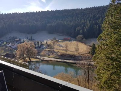 Kapitalanlage oder Eigennutzung