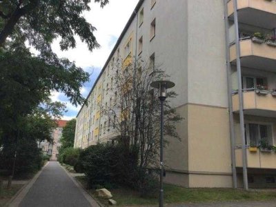 Striesen: 2-Zimmerwohnung im Erdgeschoß