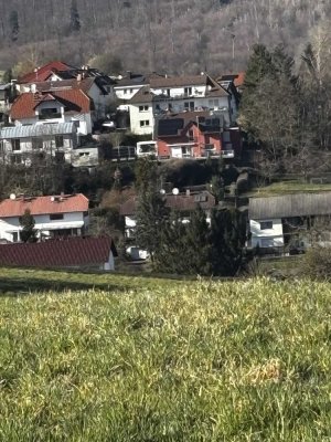 geräumige  4-Zimmer Doppel-Haus-Hälfte in Fränkisch-Crumbach