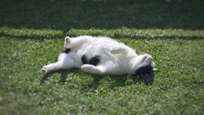 TESTOBJEKT IV24! Bitte nicht anfragen!