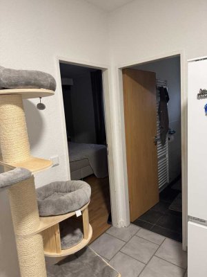 Schöne 3 Zimmer Wohnung zu Vermieten