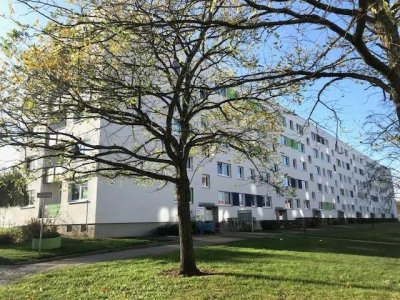 Hier wird für Sie frisch renoviert!