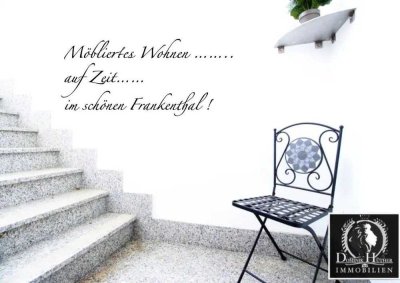 ***Möbliertes Wohnen für Geschäftsleute auf Zeit im schönen Frankenthal***